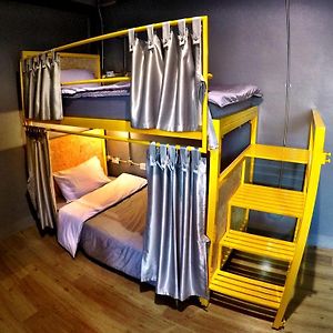 Bunk Bed 4-Bed Female Dormitory Room
